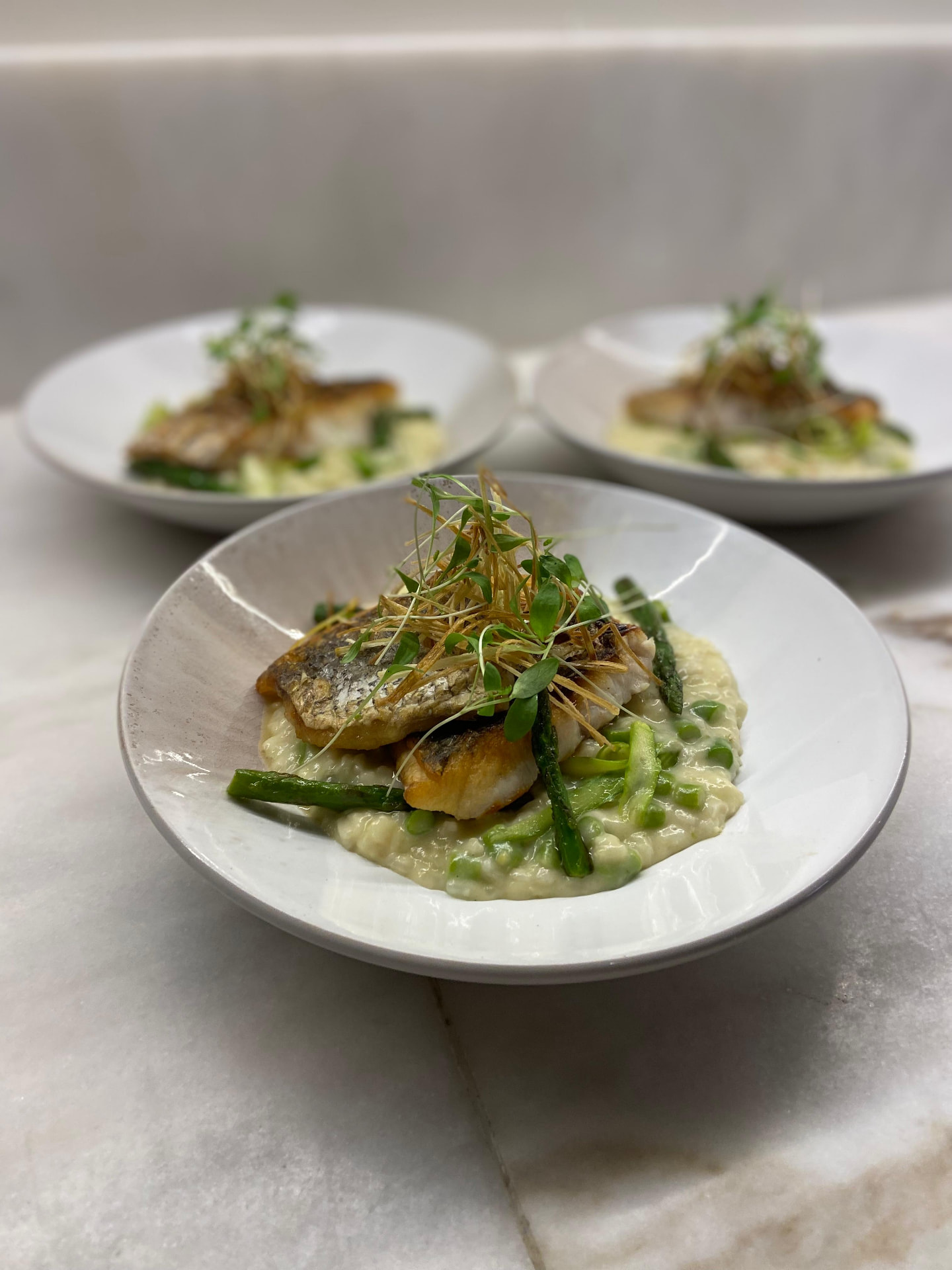 Plated fish with risotto